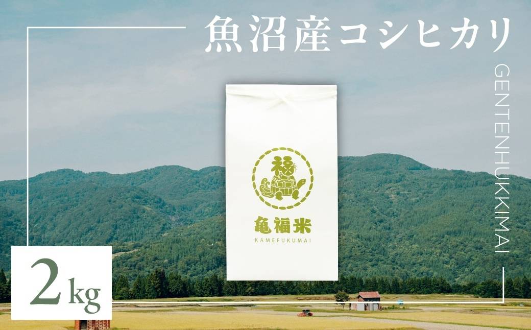 令和7年産 魚沼産コシヒカリ「亀福 原点復帰米」2kg(特別栽培米) | お米 おこめ 白米 精米 おすすめ 人気 新潟県 津南町 株式会社亀福