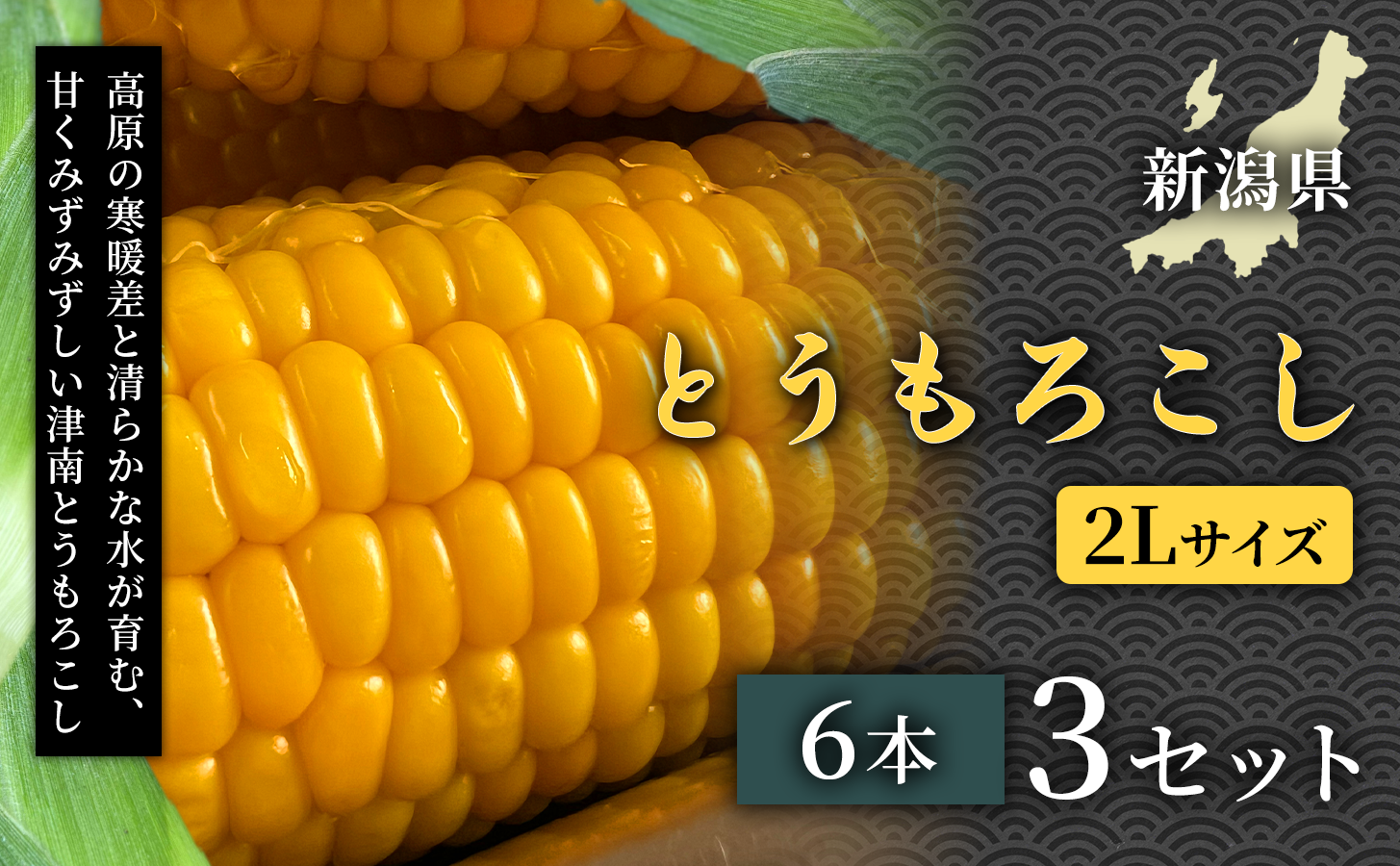 【令和8年産先行予約】朝採れ トウモロコシ（6本）2Lサイズ 3セット 新潟県 津南町 スイートコーン