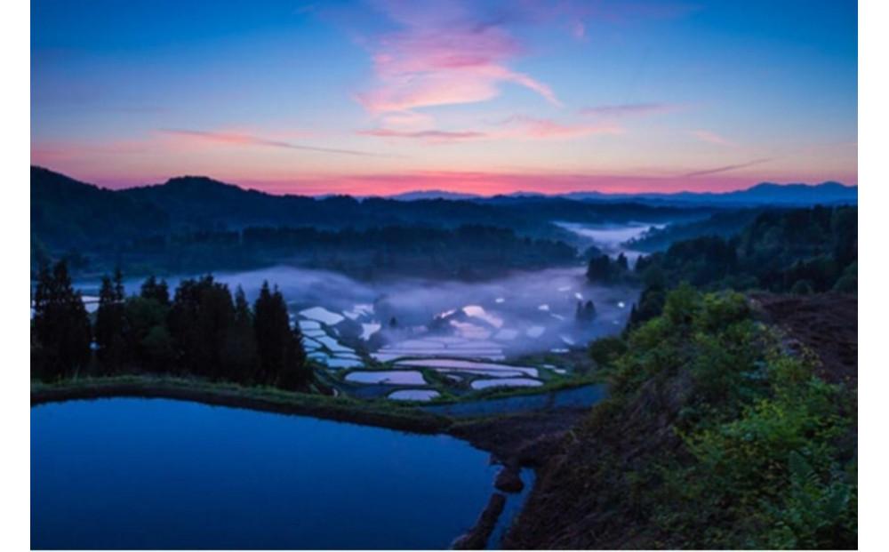 【 令和7年産 新米 予約 】 定期便 5kg ×6ヶ月 金賞受賞 魚沼産コシヒカリ 雪と技 農薬5割減・化学肥料5割減栽培　藤ノ木株式会社