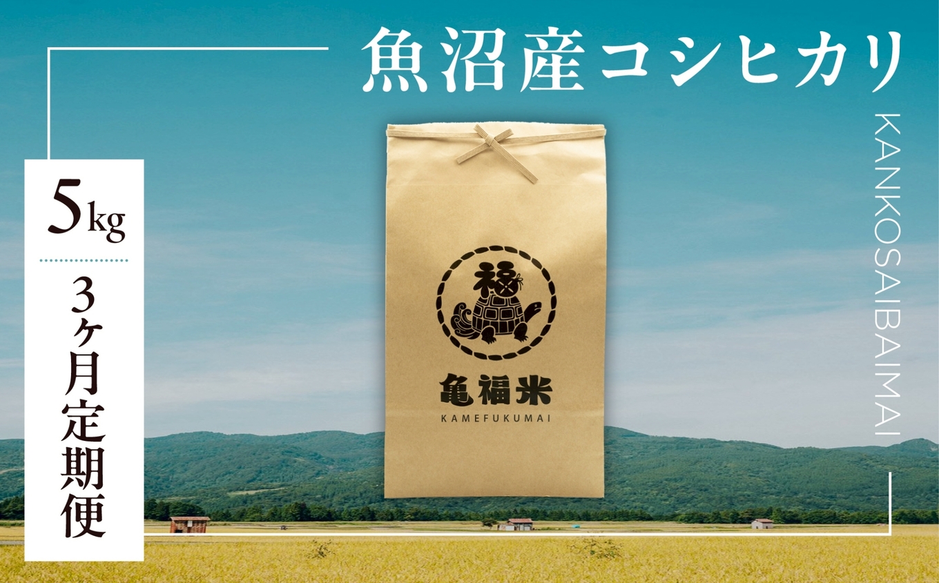 【3ヶ月定期便】令和7年産 魚沼産コシヒカリ「亀福 慣行栽培米」5kg | お米 おこめ 白米 精米 おすすめ 人気 新潟県 津南町 株式会社亀福