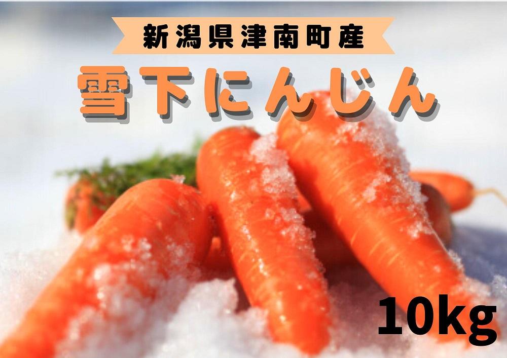 【季節限定】雪国ならではの逸品！津南町の雪下にんじん（１０ｋｇ）