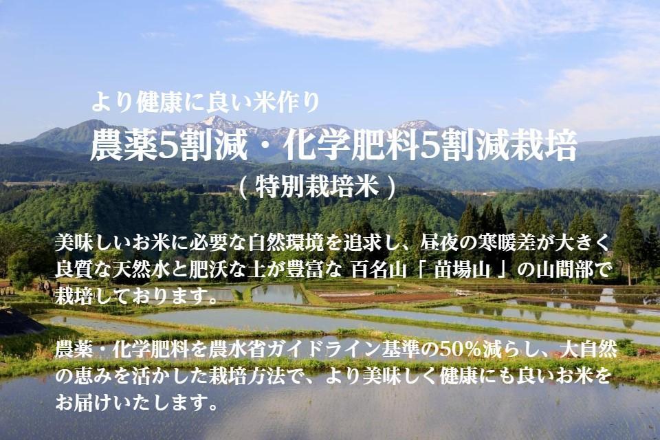 ≪令和6年産 新米 先行予約≫【定期便】 5kg ×9ヵ月 金賞受賞 魚沼産コシヒカリ 雪と技  農薬5割減・化学肥料5割減栽培