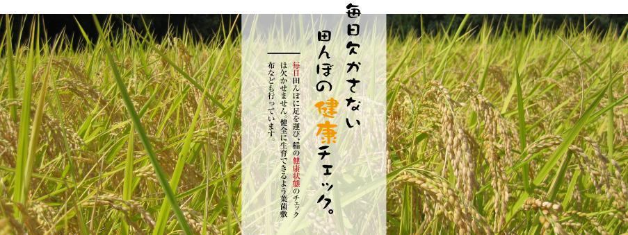 最高級魚沼産こしひかり　【ダイヤモンド褒賞受賞　特別栽培米】5kg×１