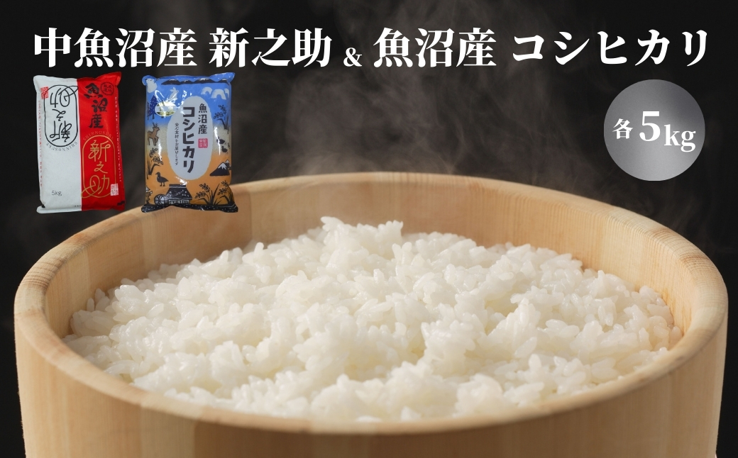 令和7年産 中魚沼産「新之助」5kg ＋ 魚沼産コシヒカリ「金印」5kg 食べ比べセット