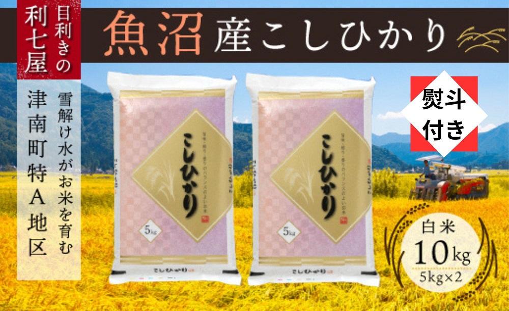 無地熨斗付き【令和6年産 新米】【魚沼産コシヒカリ 白米10kg（5kg×2袋）】雪解け水がお米を育む、津南町特A地区の美味しいお米。