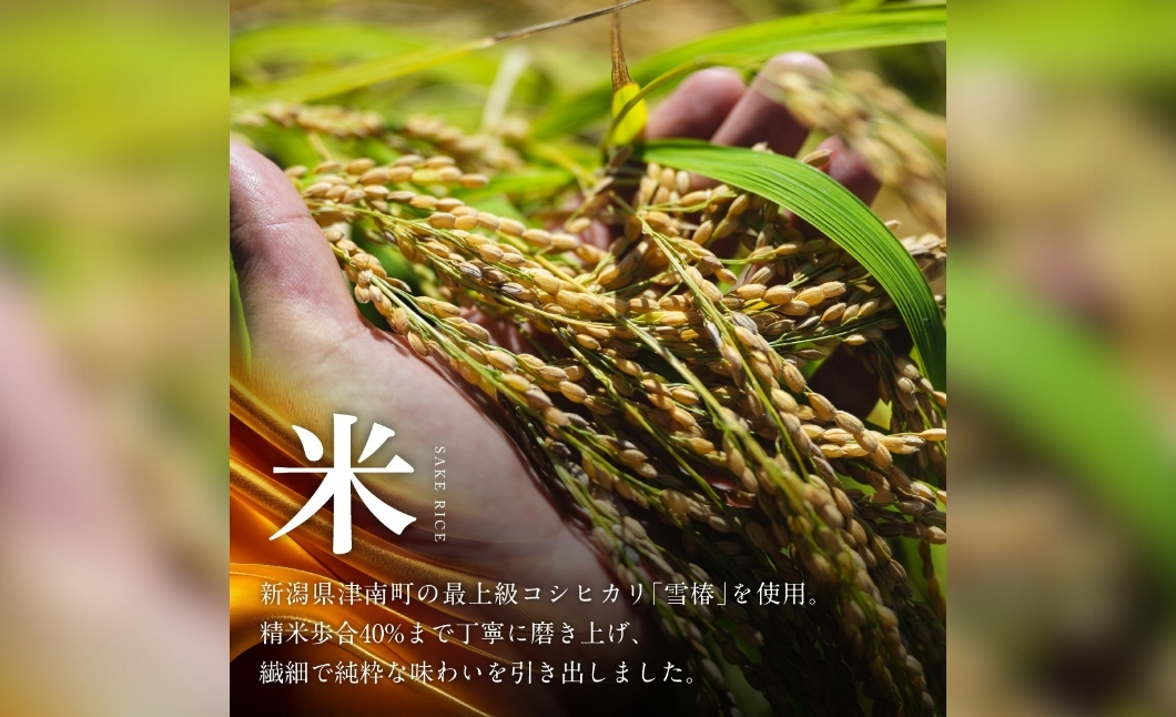 日本酒 純米大吟醸 魚沼産コシヒカリ 雪椿 720ml×1本