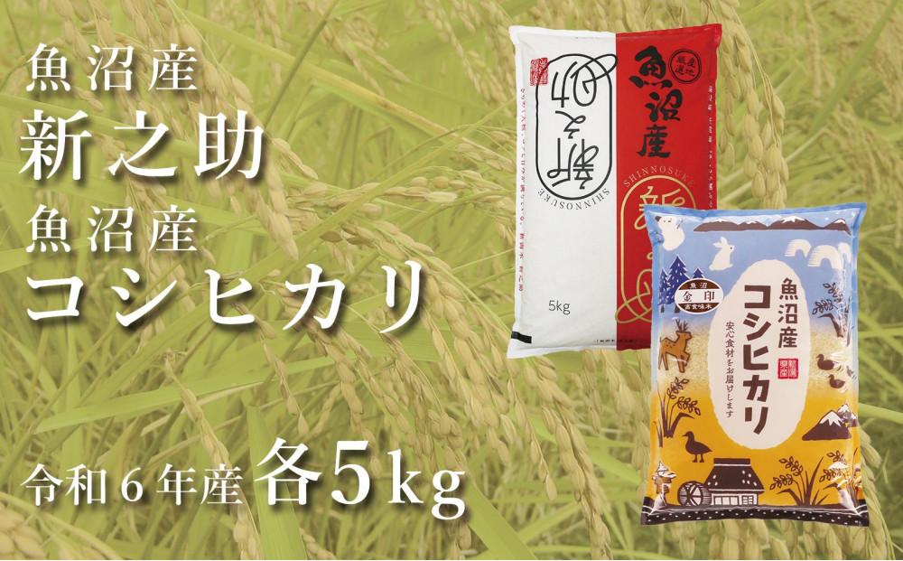 ＜令和6年産新米予約＞中魚沼産「新之助」5kg ＋ 魚沼産コシヒカリ「金印」5kg 食べ比べセット