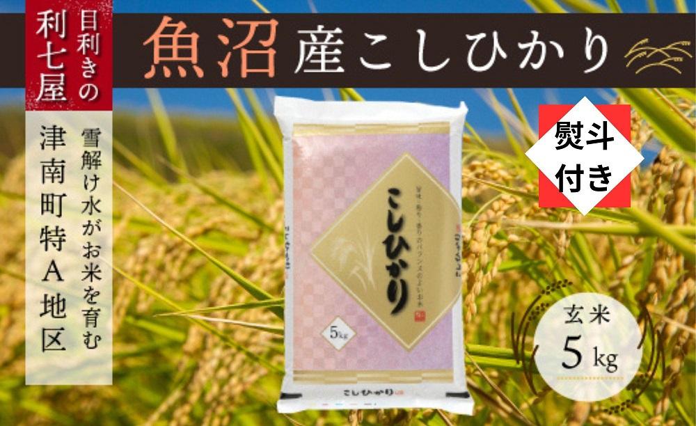 無地熨斗付き【令和6年産 新米】【魚沼産コシヒカリ 玄米5kg】雪解け水がお米を育む、津南町特A地区の美味しいお米。