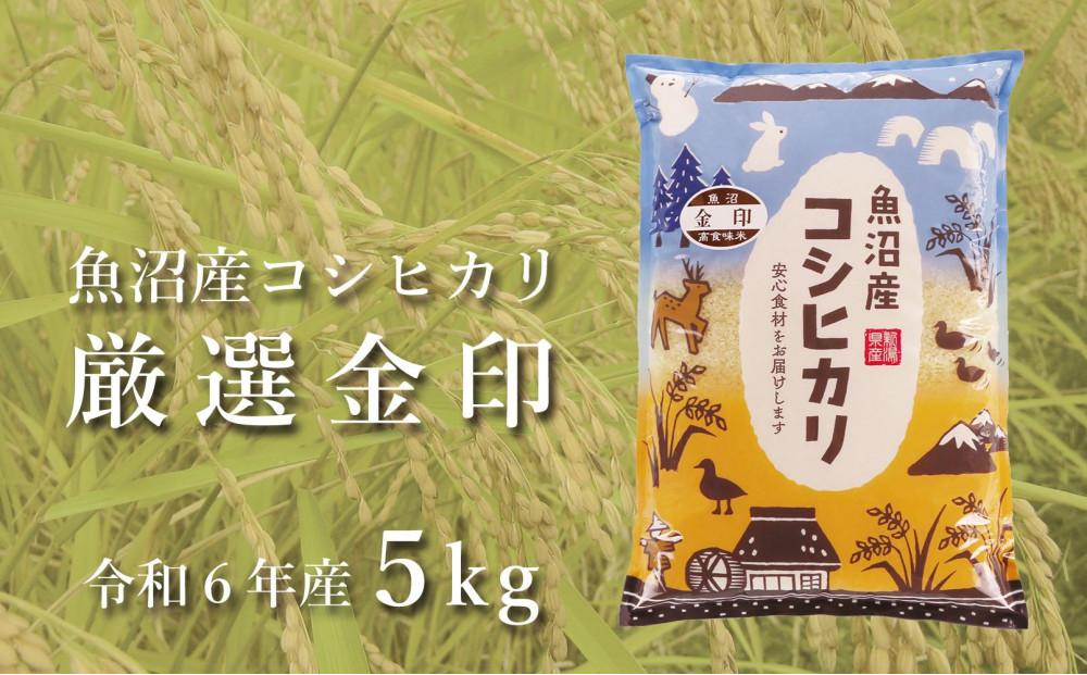 ＜令和6年産新米予約＞魚沼産コシヒカリ「金印」高食味米 5kg