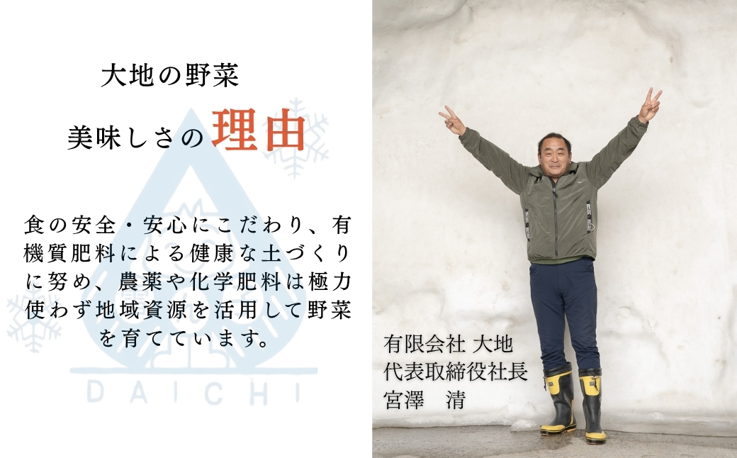 【にんじん 先行予約】津南の雪下にんじん 10kg | 津南町 有限会社大地