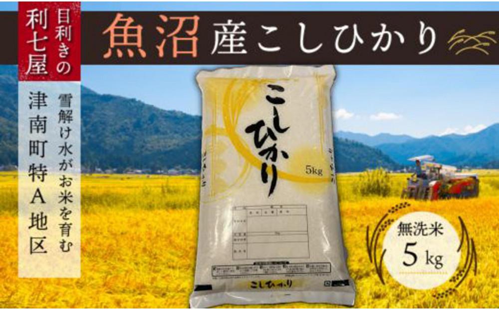 【令和6年産 新米】【魚沼産コシヒカリ 無洗米5kg×全3回】雪解け水がお米を育む、津南町特A地区の美味しいお米。