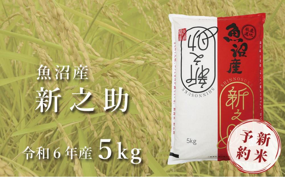 ＜令和6年産新米予約＞中魚沼産「新之助(しんのすけ)」5kg