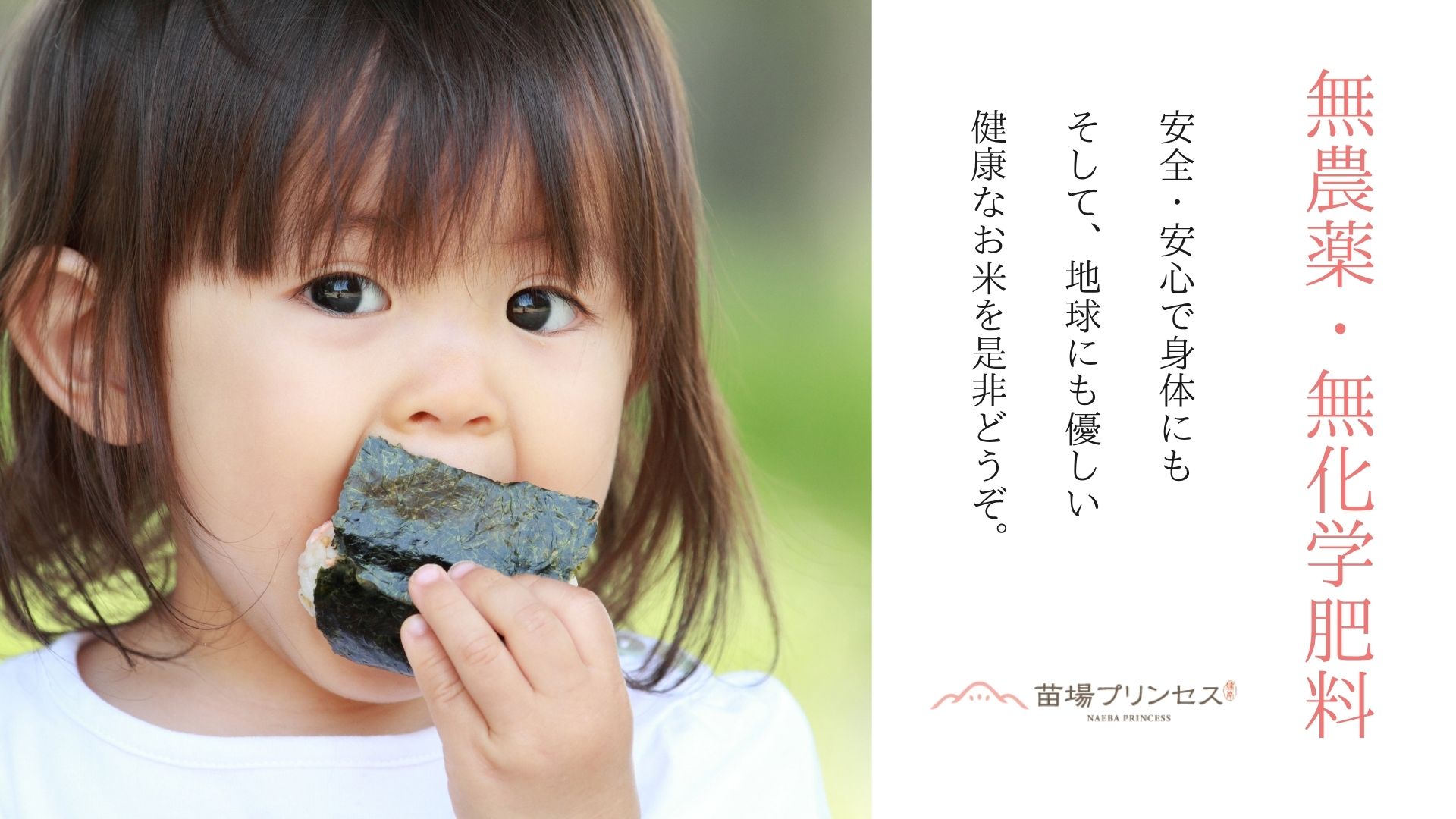 縲蝉サ、蜥8蟷エ逕」蜈郁。御コ育エ縲代12繝カ譛亥ョ壽悄萓ソ縲代先怏讖櫟AS隱崎ィシ邀ウ縲鷹ュ壽イシ繧ウ繧キ繝偵き繝ェ 闍怜エ繝励Μ繝ウ繧サ繧ケ繝サ繝励Ξ繝溘い繝 邊セ邀ウ 27kg(9kgテ3陲)テ12蝗 險324kg
