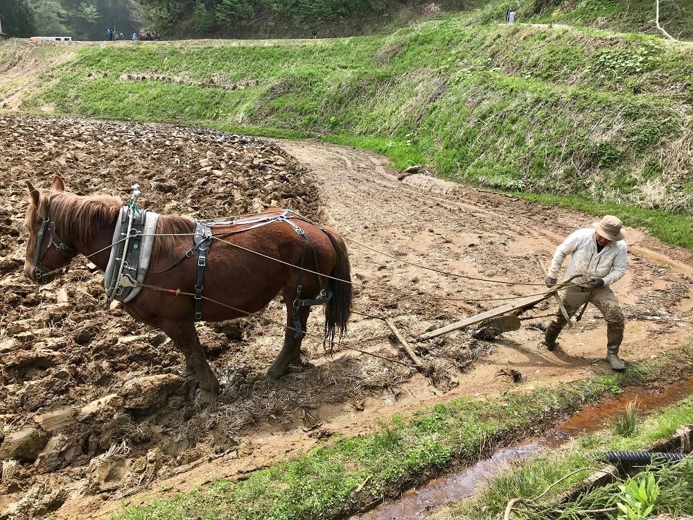 馬耕で米づくり・日本の原風景を世界へ伝える限定酒「田人馬 白 2022」