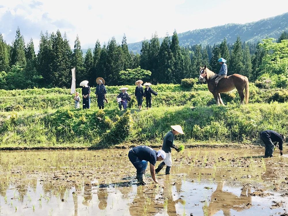 馬耕で米づくり・日本の原風景を世界へ伝える限定酒「田人馬 白 2022」