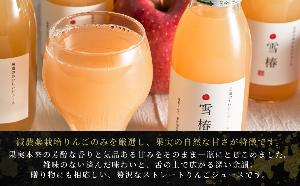 魚沼のおいしいりんごジュース 雪椿 20本×1セット