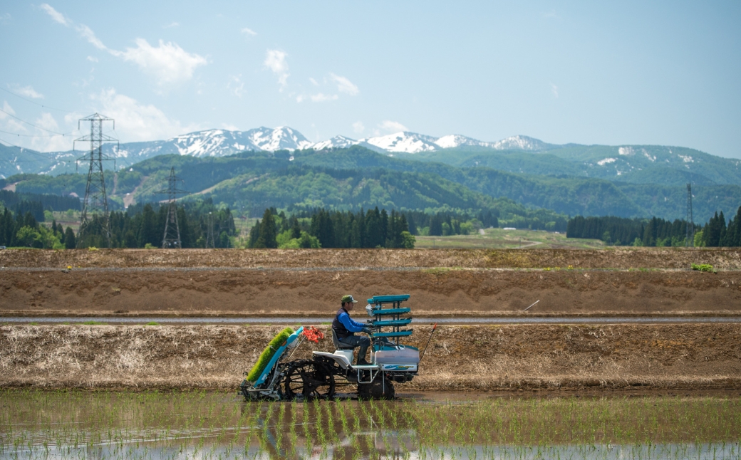 闍怜エ螻ア 邏皮アウ蜷滄ク 邏皮アウ 1800ml 2譛ャ繧サ繝繝