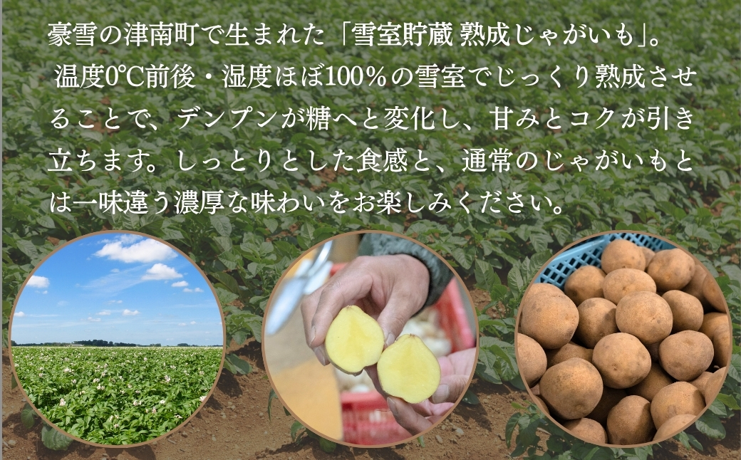 髮ェ螳、辭滓舌ョ縺倥c縺後>繧 5kg | 豢・蜊礼伴 譛蛾剞莨夂、セ螟ァ蝨ー