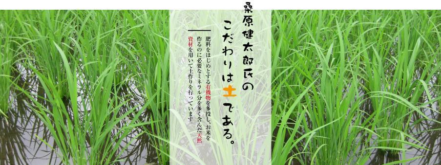 最高級魚沼産こしひかり　【ダイヤモンド褒賞受賞　特別栽培米】5kg×１