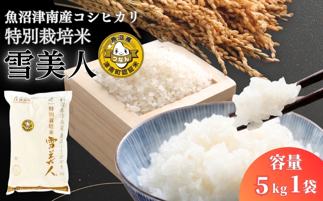 【令和7年産】魚沼産コシヒカリ 特別栽培米「雪美人」5kg