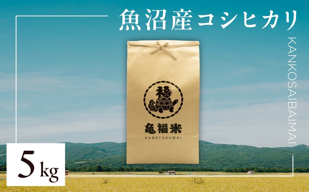 令和7年産 魚沼産コシヒカリ「亀福 慣行栽培米」5kg | お米 おこめ 白米 精米 おすすめ 人気 新潟県 津南町 株式会社亀福