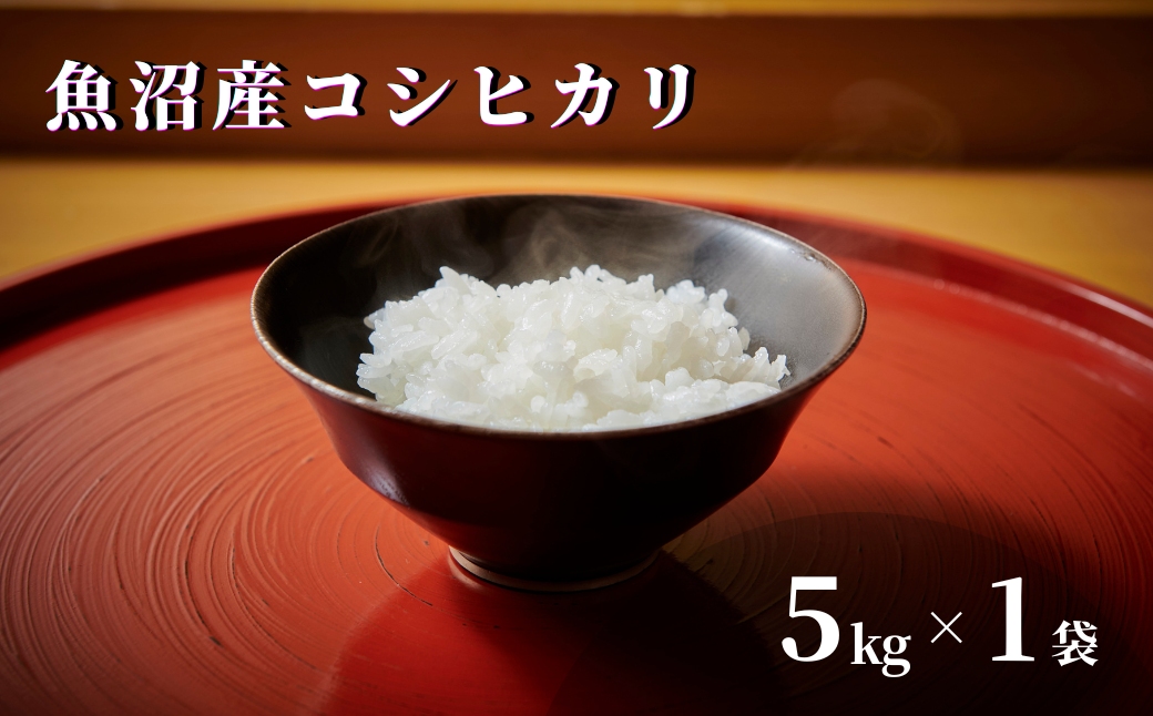 【令和7年産】魚沼産コシヒカリ 5kg (5kg×1袋) 特別栽培米