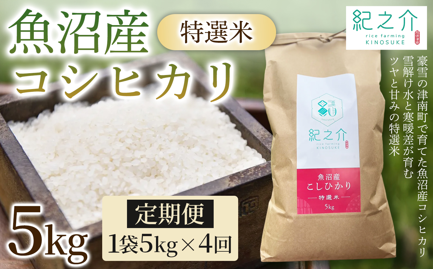 【令和8年産先行予約】【4ヶ月定期便】魚沼産コシヒカリ 特選米 5kg(5kg×1袋) | 新潟県 津南町 株式会社紀之介