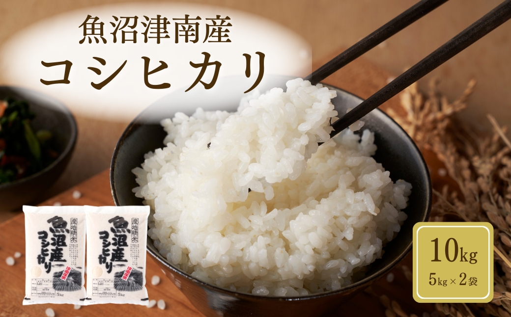 【令和7年産】魚沼（津南）産コシヒカリ 10kg（5kg×2袋）新潟県 津南町 (有)フジミヤ