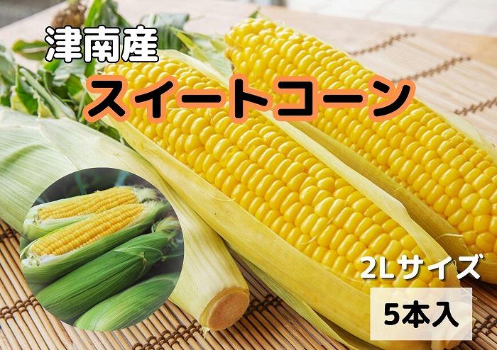 【新潟県 津南町産】朝取りスイートコーン 2Lサイズ 5本（1本約400g）