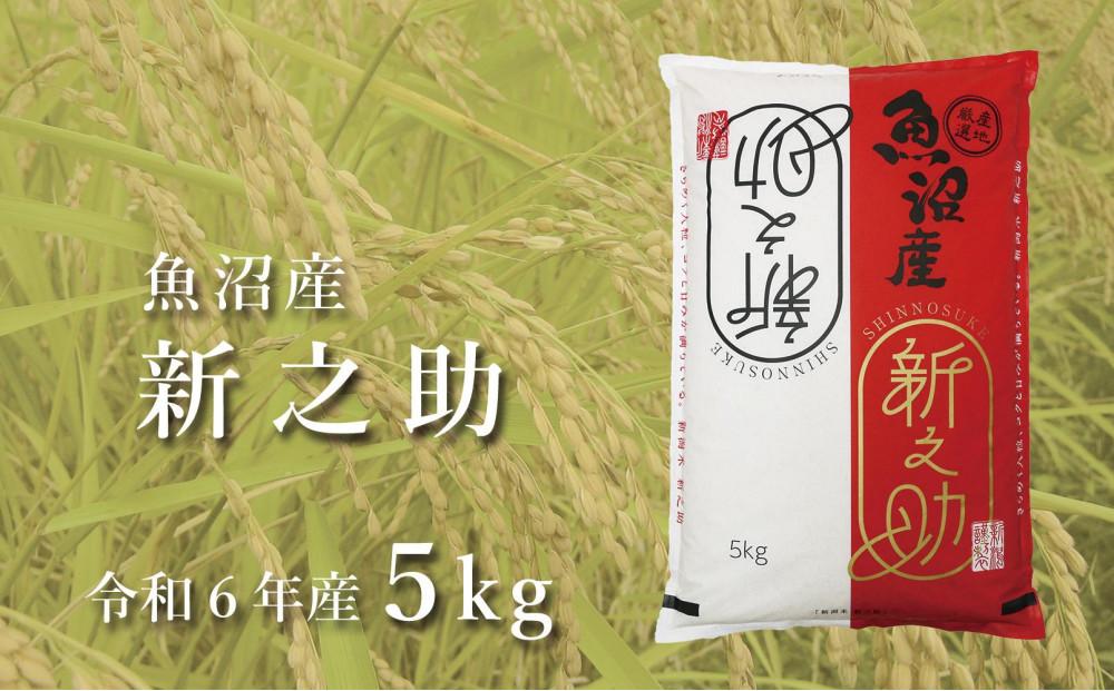 ＜令和6年産新米予約＞中魚沼産「新之助(しんのすけ)」5kg