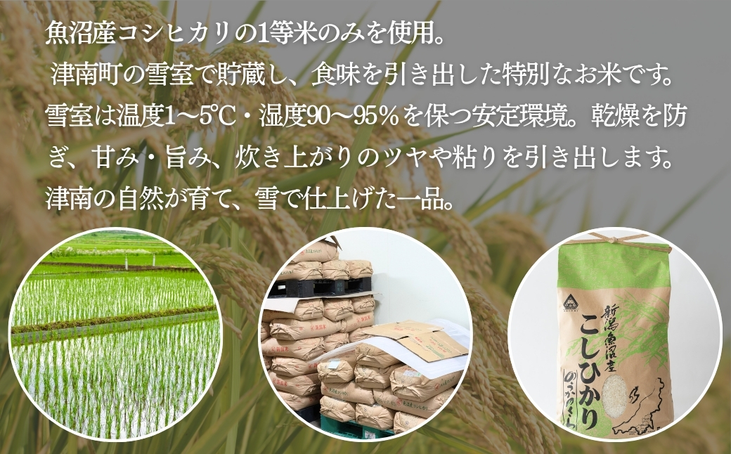雪室貯蔵 魚沼産コシヒカリ 10kg(5kg×2袋)   精米 令和7年産 | 津南町 有限会社大地