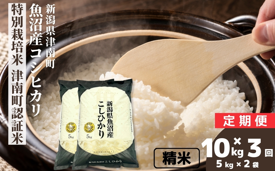 【3ヶ月定期便】【令和7年産】魚沼産コシヒカリ 特別栽培米 津南町認証米 10kg(5kg×2袋) 新潟県 津南町 大阪屋商店