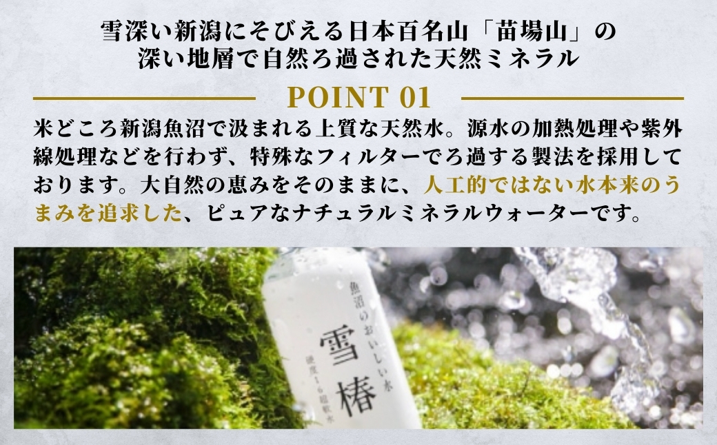 髮ェ讀ソ縺ョ螟ゥ辟カ豌エ 2Lテ6譛ャ