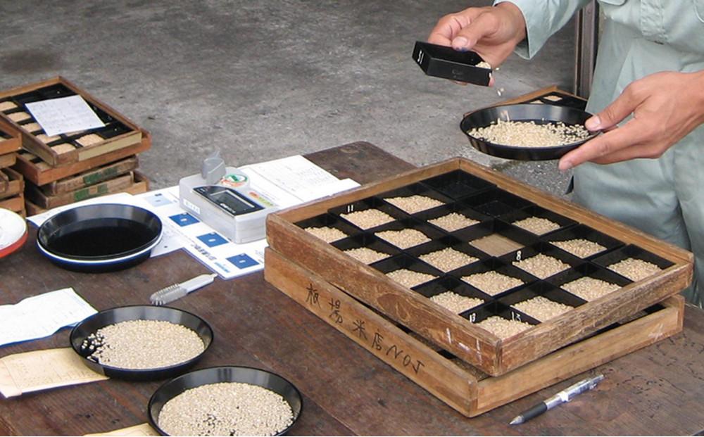 ã6ã¶æå®æäŸ¿ã什å7å¹Žç£ äžé沌ç£ãæ°ä¹å©(ããã®ãã)ã10kgÃå
š6å