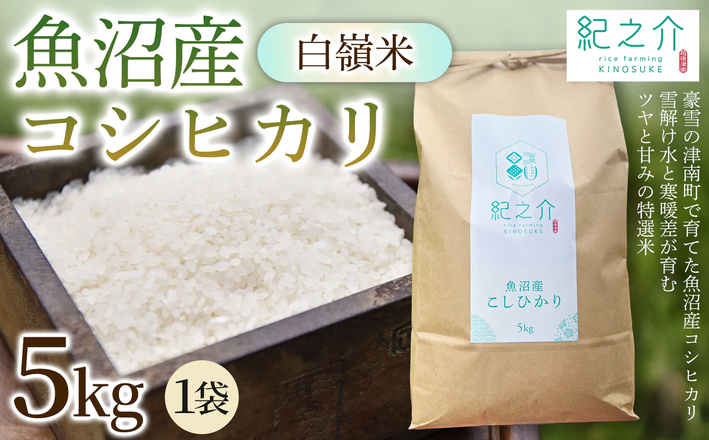 魚沼産コシヒカリ 白嶺米 5kg(5kg×1袋) 令和7年産 | 新潟県 津南町 株式会社紀之介