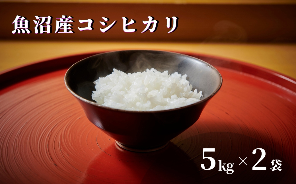 【令和7年産】魚沼産コシヒカリ 10kg (5kg×2袋) 特別栽培米