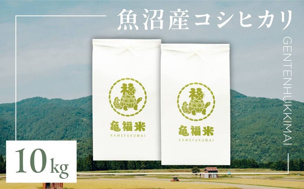 令和7年産 魚沼産コシヒカリ「亀福 原点復帰米」10kg(5kg×2袋) (特別栽培米) | お米 おこめ 白米 精米 おすすめ 人気 新潟県 津南町 株式会社亀福