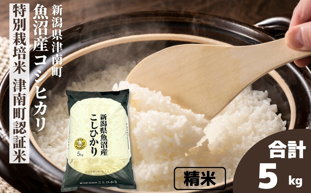 【令和7年産】魚沼産コシヒカリ 特別栽培米 津南町認証米（5kg）新潟県 津南町 大阪屋商店