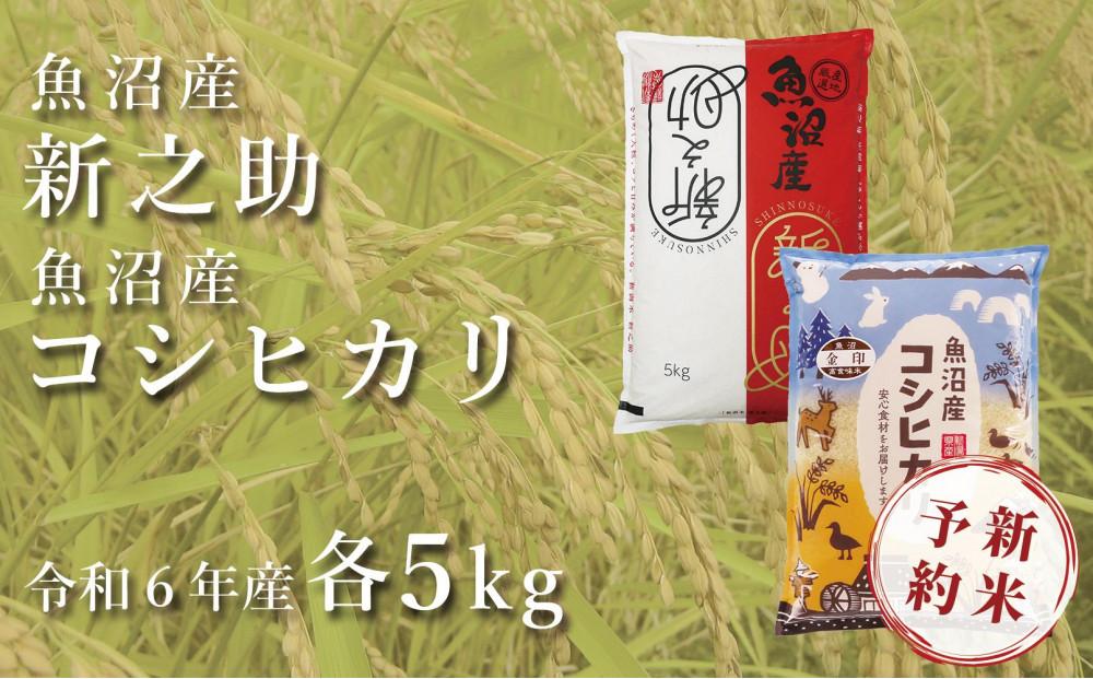 ＜令和6年産新米予約＞中魚沼産「新之助」5kg ＋ 魚沼産コシヒカリ「金印」5kg 食べ比べセット