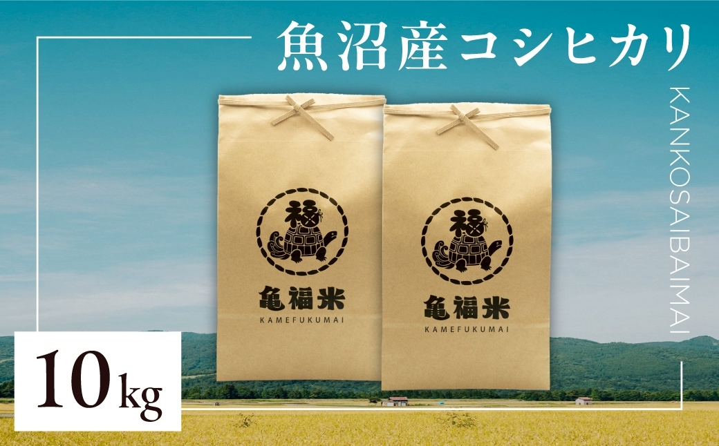 令和7年産 魚沼産コシヒカリ「亀福 慣行栽培米」10kg(5kg×2袋) | お米 おこめ 白米 精米 おすすめ 人気 新潟県 津南町 株式会社亀福