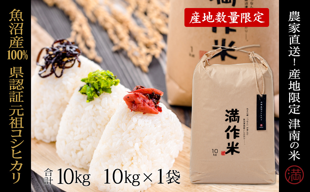 【令和8年産 先行予約】【県認証】元祖魚沼産従来コシヒカリ 10kg×1袋