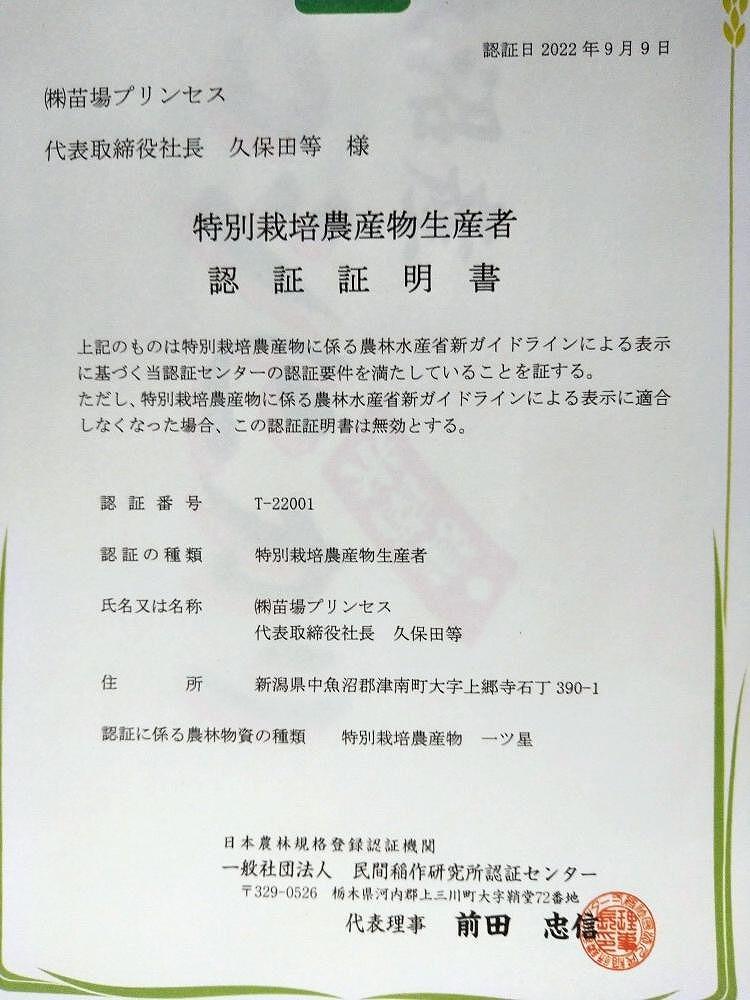 杵つき餅（白餅３パック・草餅２パック）「餅米の王様」と呼ばれているこがねもちを使用。　　　　　　　　　　　　　　　　　　　　　　　　　　　　　　　　　　　　　　　　　　　　　　　　　　　　　　　　　　　　　　　　　　　　　　　　　　　　　　　　　　　　　　　　　　　　　　　　　　　　　　　　　　　　　　　　　　　　　　　　　　　　　　　　　　　　　　　　　　　　　　　　　　　　　　　