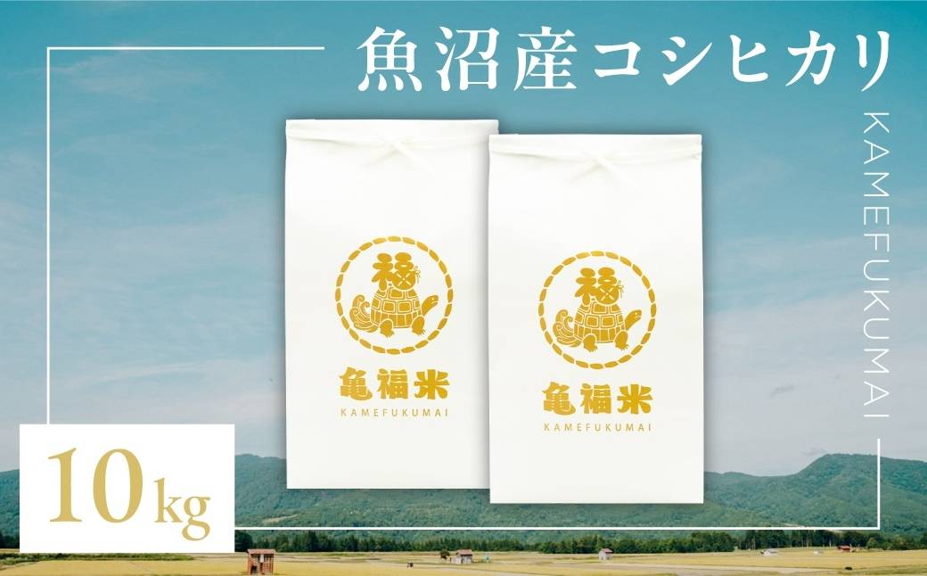 莉、蜥7蟷エ逕」 讌オ荳 鬲壽イシ逕」繧ウ繧キ繝偵き繝ェ縲御コ遖冗アウ縲10kg (5kgテ2陲) (迚ケ蛻・譬ス蝓ケ邀ウ) | 縺顔アウ 縺翫%繧 逋ス邀ウ 邊セ邀ウ 縺翫☆縺吶a 莠コ豌 譁ー貎溽恁 豢・蜊礼伴 譬ェ蠑丈シ夂、セ莠遖