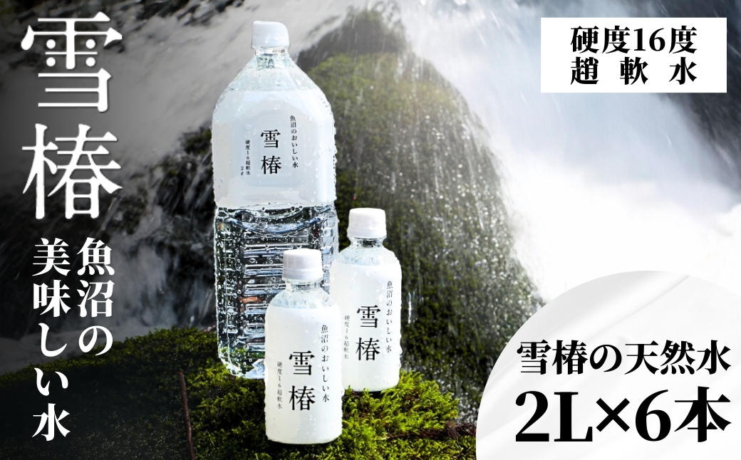 雪椿の天然水 2L×6本