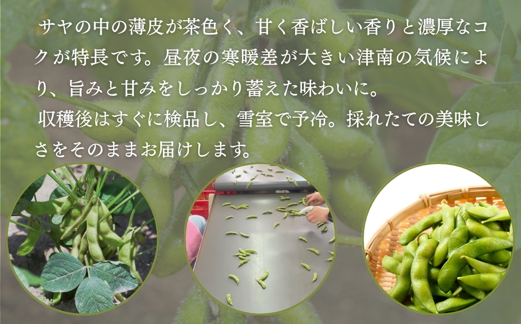 【枝豆 先行予約】雪室予冷 津南高原茶豆 2kg（200g×10袋） | 津南町 有限会社大地