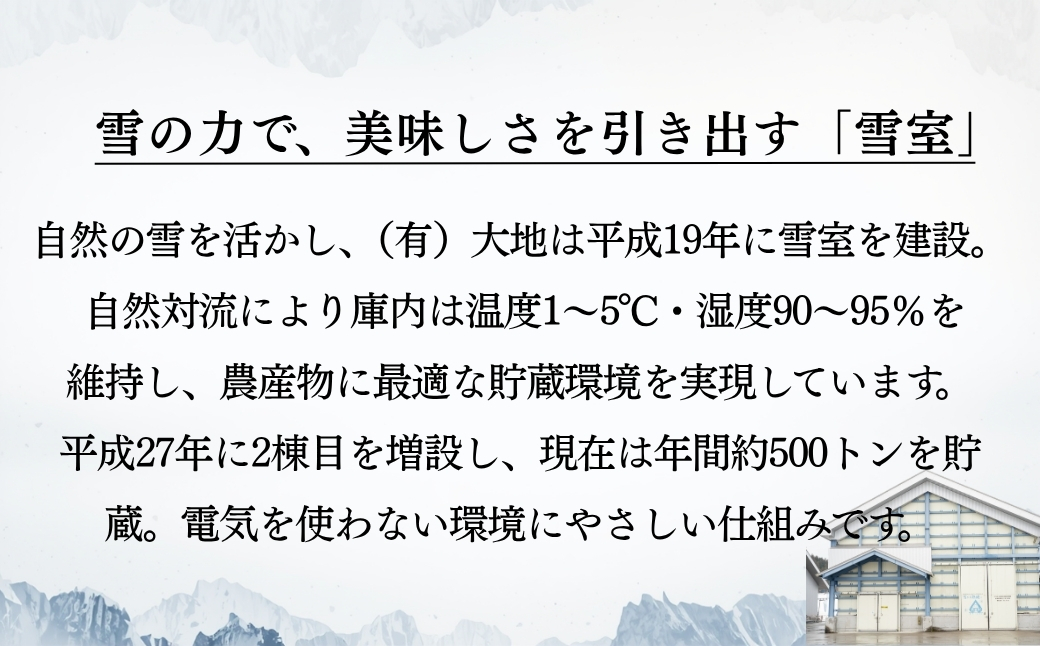【にんじん 先行予約】津南の雪下にんじん 10kg | 津南町 有限会社大地