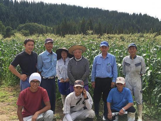 【令和8年産 先行予約】【新潟県 津南町産】朝採りスイートコーン 2Lサイズ 10本（1本約400g）