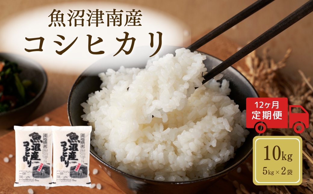 【12ヶ月定期便】令和7年産魚沼（津南）産コシヒカリ 10kg（5kg×2袋）新潟県 津南町 (有)フジミヤ