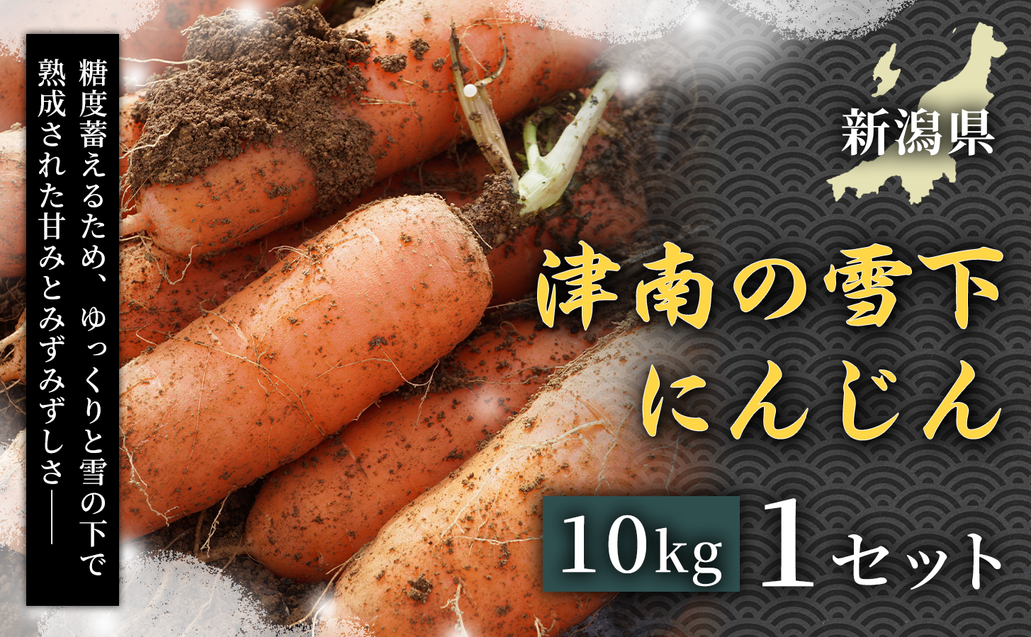 【令和8年産先行予約】津南の雪下にんじん 10kg 1セット 新潟県 津南町