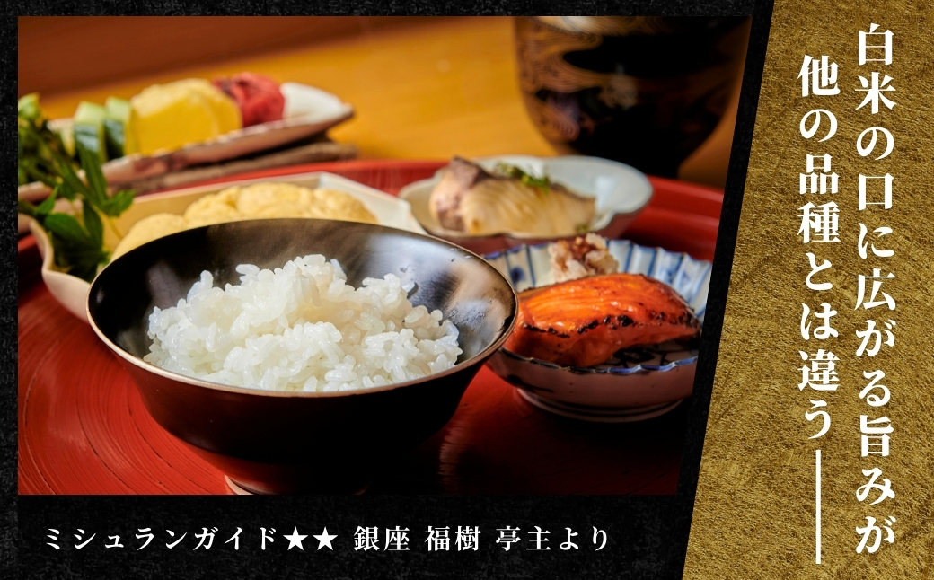 【2025年産新米】最高級魚沼産コシヒカリ「雪椿」10kg (2kg×5袋) 特別栽培米